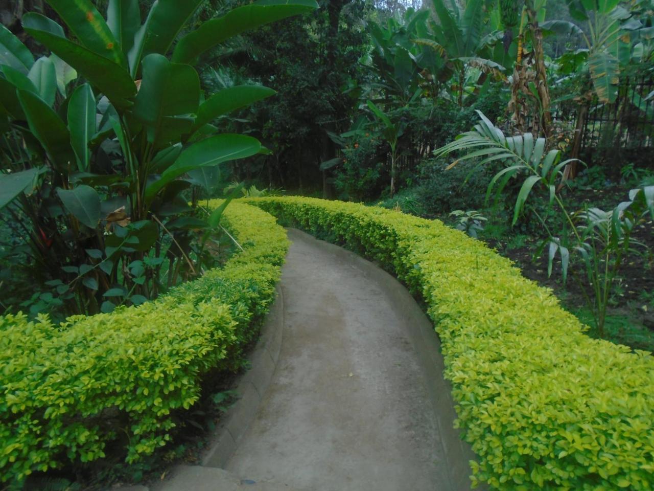 Themi Valley Eco And Cultural Tourism Homestay Arusha Kültér fotó